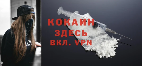 шишки Зарайск