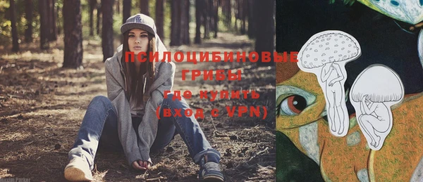 стафф Гусиноозёрск