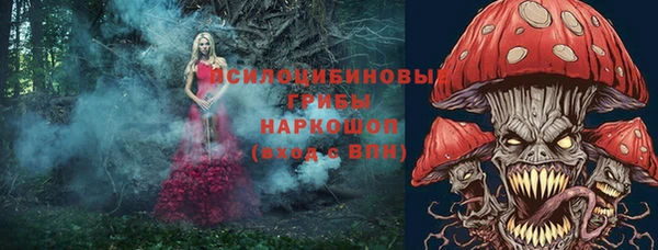 скорость Гусев