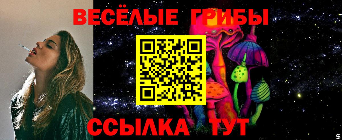 Грязи  цены наркотик  Вход с VPN  Псилоцибиновые грибы ЛСД 